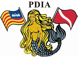PDIA-Logo-2007 E ohne